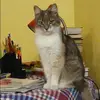Отзыв от София Архипова